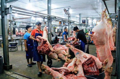 Giá thịt heo nhập khẩu chỉ 30.000 đồng/kg nhưng không bán ở chợ