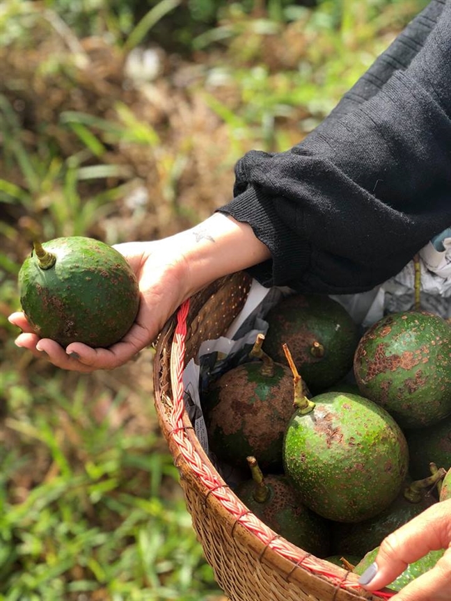 Neu ngai chen chuc Da Lat, thi tran nho gan do cung mat lanh khong kem lai yen binh vo cung