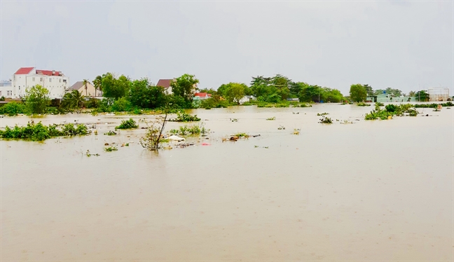 'Dao ngoc Phu Quoc chua bao gio ngap nhu bay gio'