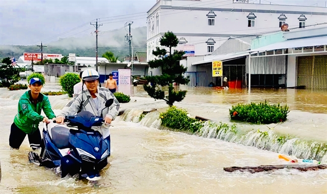 'Dao ngoc Phu Quoc chua bao gio ngap nhu bay gio'