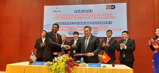 Điện lực TP.HCM  hợp tác với Malaysia về sửa chữa, bảo trì lưới điện