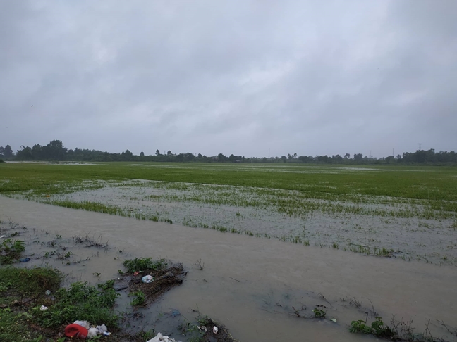 Dak Lak no luc cuu nan cuu ho sau mua keo dai