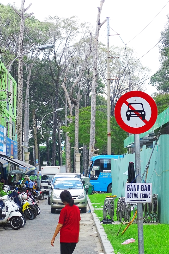 Sai Gon thanh 'dao nhiet', cay cung chet kho