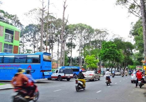 Chuyện Sài Gòn: Cây xanh thì thiếu, chiếu sáng thì lỗi