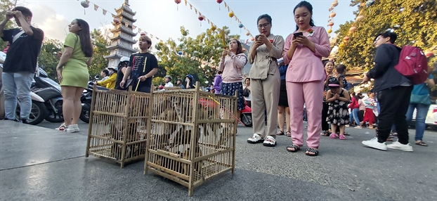 Chum anh: Cac chua Sai Gon dong nghet nguoi di le Vu Lan