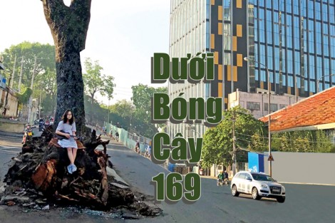 Dưới bóng cây 169