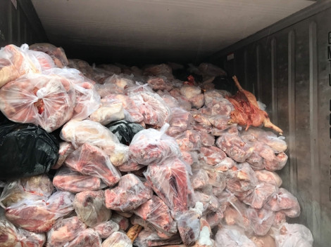 Bắt 3 thùng container chứa hàng chục tấn thịt heo thối