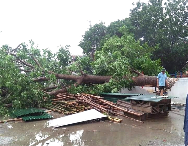 Hang ngan hoc sinh Thanh Hoa  phai nghi hoc vi ngap lut  