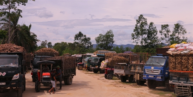 Sau lu, nong dan 'nin tho' doi nha may nhap hang ngan tan san