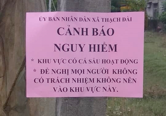 Sau nhieu ngay lung suc, ca sau nang 50kg van mat tam