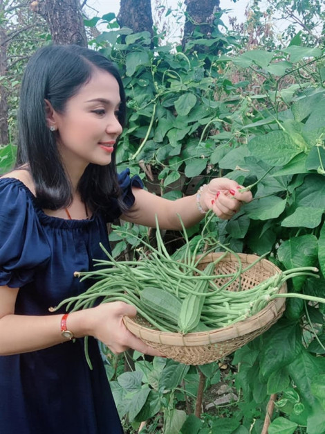 'Bỏ phố về quê', Việt Trinh xây nhà vườn trĩu quả
