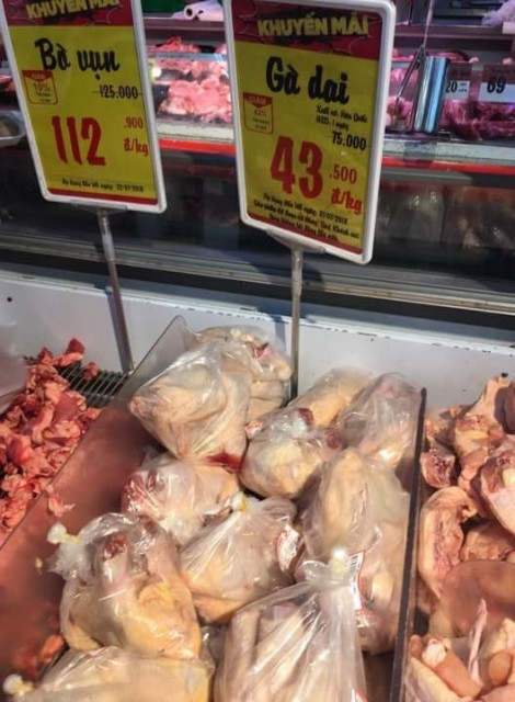 Giá gà thịt chỉ còn 13.000-14.000 đồng/kg