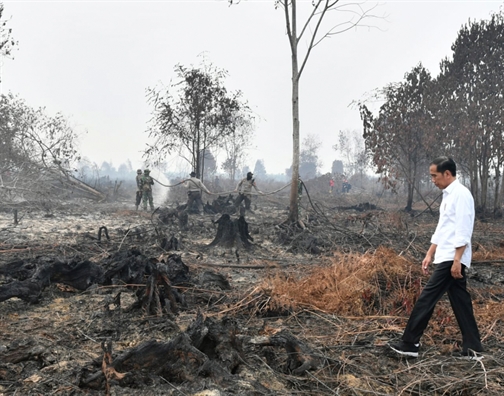 Hang ngan truong hoc o Malaysia va Indonesia dong cua vi o nhiem khong khi