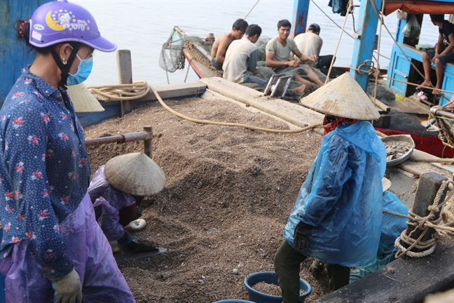 Ngu dan trung dam so nham, kiem hang chuc trieu moi ngay