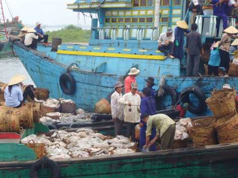 Thẻ vàng IUU khiến hải sản Việt Nam xuất khẩu vào EU giảm mạnh