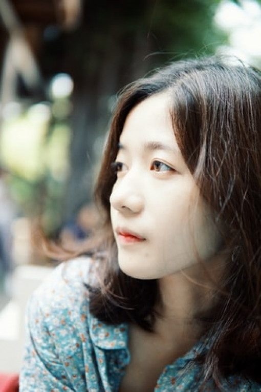 Tình cũ, thôi xin hãy ngủ