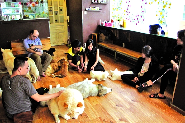 Top hơn 83 về mô hình kinh doanh cafe chó hay nhất  Tin học Đông Hòa