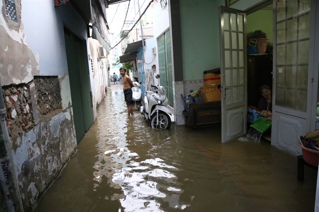 Moi dau mua trieu cuong, Sai Gon da ngap lenh lang khap noi