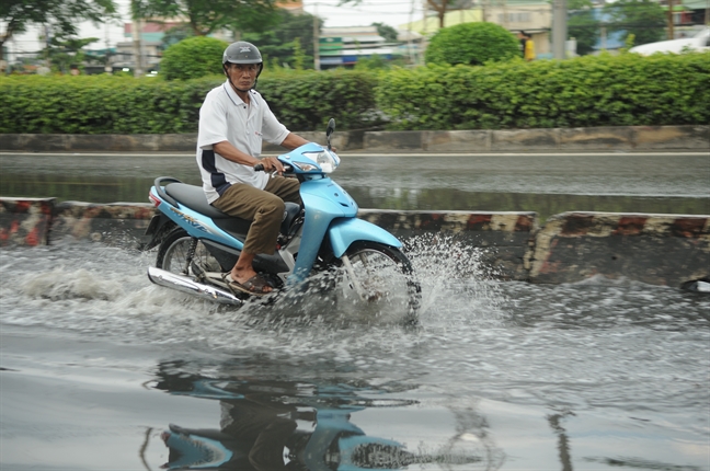 Moi dau mua trieu cuong, Sai Gon da ngap lenh lang khap noi