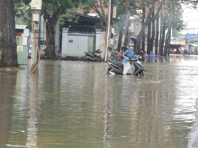 Chum anh: Can Tho chim trong bien nuoc