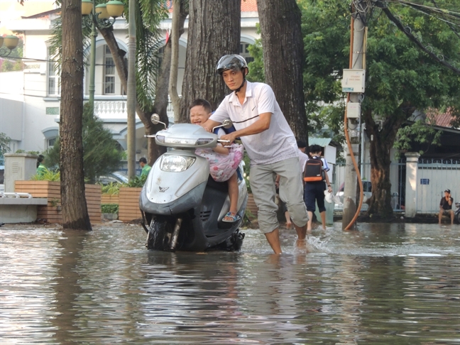 Chum anh: Can Tho chim trong bien nuoc