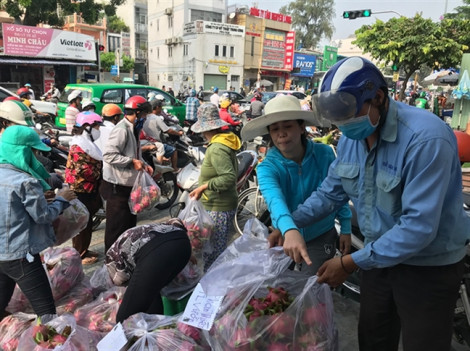 20 người Trung Quốc 'nắm'  thị trường thanh long Bình Thuận