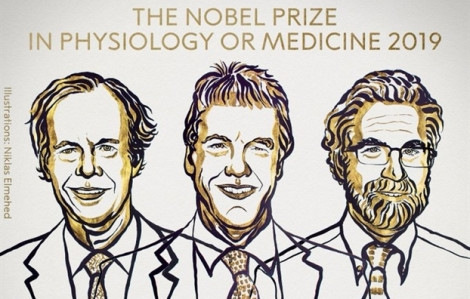 Giải Nobel Y học 2019 trao cho 3 nhà nghiên cứu về cách các tế bào phát hiện oxy