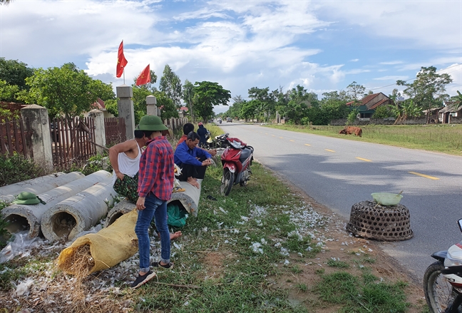 Mua thu chet choc cua nhung dan chim troi trong cam bay nguoi