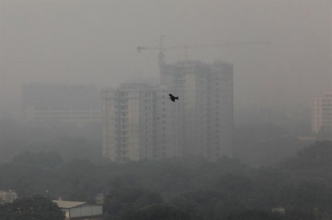 Ô nhiễm không khí nghiêm trọng ở thủ đô Ấn Độ