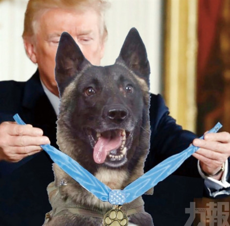 Ông Trump bị phê phán vì đăng ảnh chế tặng huy chương cho chó