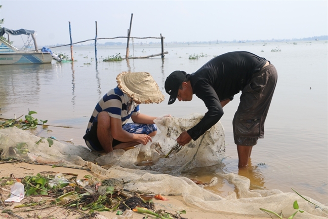 'Ky nghe' san ca giong quy ven pha Tam Giang mua bao ve