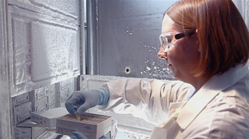 Abbott công bố phát hiện chủng HIV mới, bước tiến cho cộng đồng y tế toàn cầu trước đại dịch virus