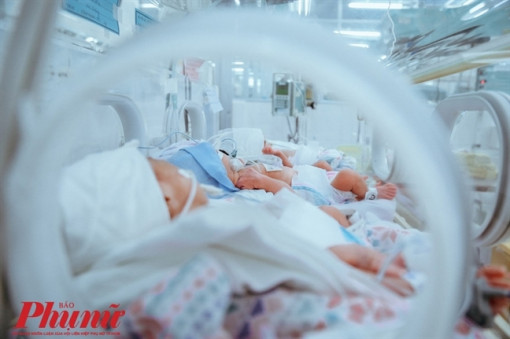 Lý do bà mẹ lập kỷ lục tặng đến 172 lít sữa mẹ cho trẻ sơ sinh ở Sài Gòn