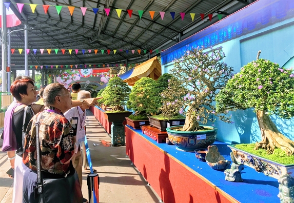 Cay kieng co the khong tuong, gia bac ty hoi tu ve Sai Gon