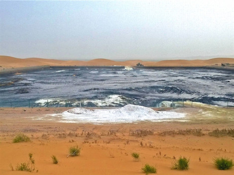 Trung Quốc: Lại bê bối ô nhiễm gần khu bảo tồn cạnh sa mạc Tengger