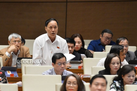 'Đại biểu bị gây sức ép khi có phát biểu trái với quan điểm của bộ ngành'