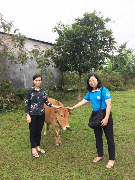 Trao bò, bàn giao giếng nước và nhà vệ sinh cho dân nghèo Quảng Trị