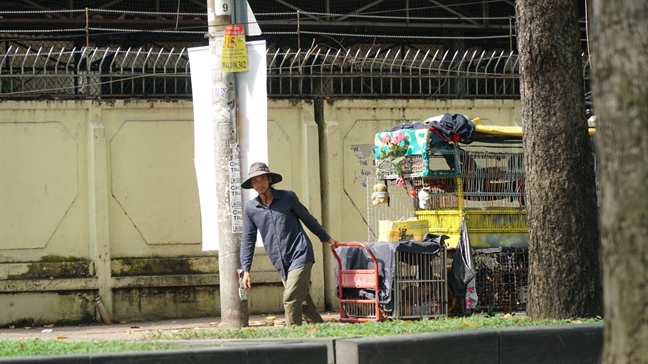 Nguoi dan ong ngheo 10 nam rong ruoi cung bay cho tren xe