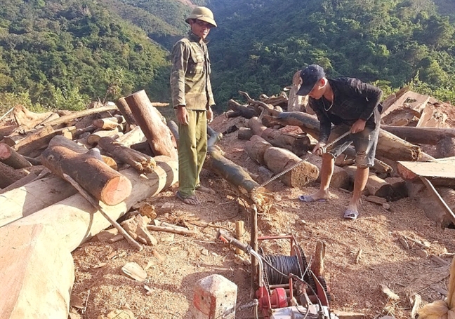 Nguoi dan lieu minh vot go o thuong nguon thuy dien Ban Ve