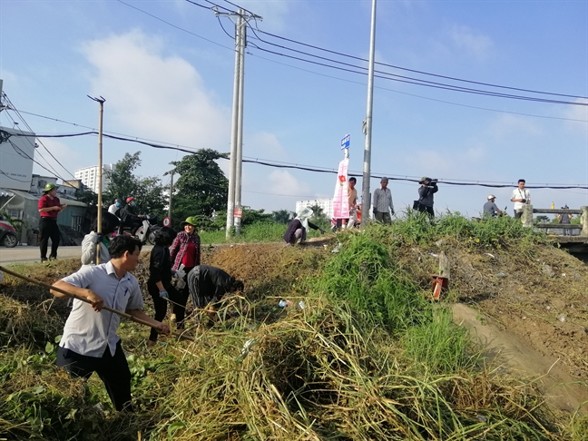 Lan toa tinh than 'song xanh'