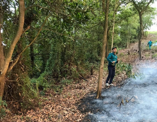 Nguy cơ thiệt hại hàng trăm héc ta rừng sau vụ cháy ở Bắc Giang