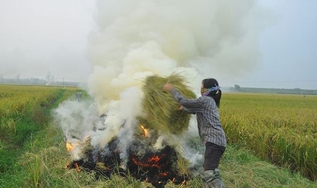 Bo Tai Nguyen va Moi truong dua ra 4 giai phap khac phuc o nhiem cho Ha Noi, TPHCM