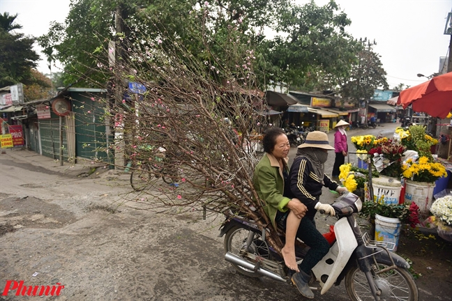 Tet Canh Ty den gan, dao Nhat Tan dua nhau xuong pho khoe sac