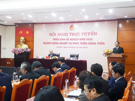Thủ tướng Nguyễn Xuân Phúc: 'Xử lý doanh nghiệp, cơ sở không chịu xuất heo để sốt ảo, trục lợi'