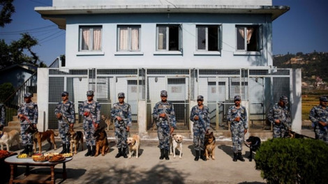 Nepal bắt 122 người Trung Quốc bị tình nghi phạm tội tài chính