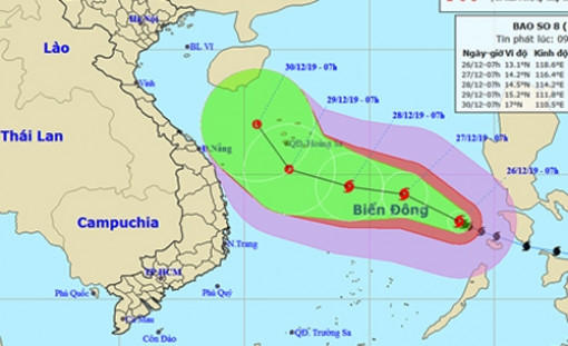 Chỉ đạo khẩn cấp ứng phó bão số 8