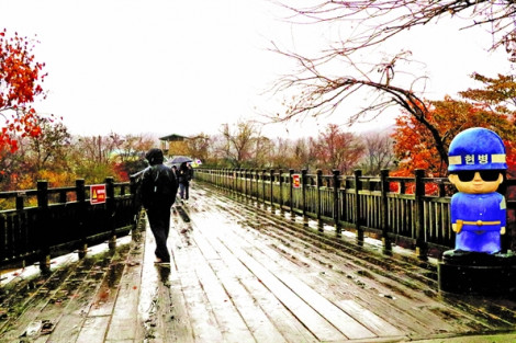 Trong mưa tôi đi trên chiếc cầu gỗ ấy