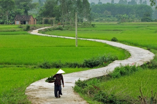 Than trong voi chinh con ruot cua minh, con gi buon hon?