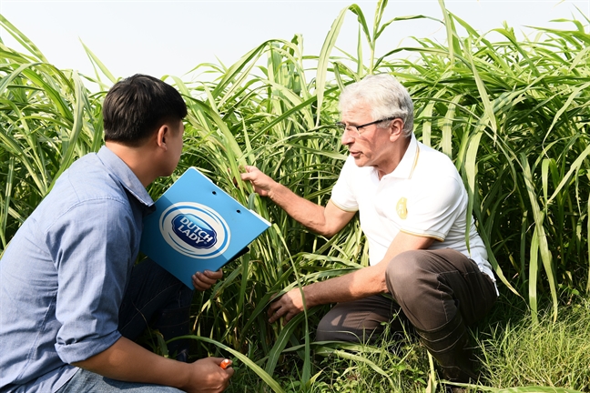 Co Gai Ha Lan tu hao co nguon sua nguyen lieu lon va an toan hon chuan 11 lan