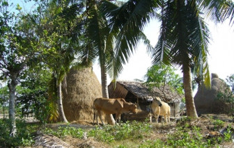 Hú vía ngày cuối năm